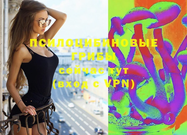 спайс Алексин