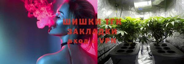 спайс Алексин