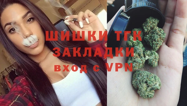 хмурый Алексеевка