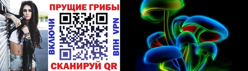 hydra рабочий сайт  где купить   Николаевск-на-Амуре  Псилоцибиновые грибы MAGIC MUSHROOMS 